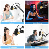 Microphone Studio Broadcast Professional Microphone Kit